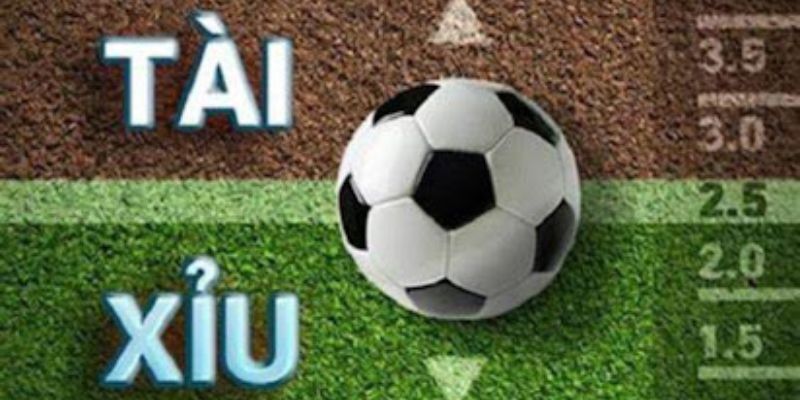 Kèo Tài Xỉu 33win - Cách Tính Toán và Dự Đoán Chính Xác 3 Kèo tài xỉu được chia thành nhiều mức độ khác nhau