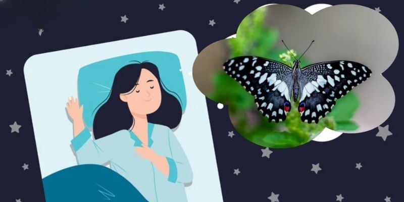 Giải Mã Giấc Mơ Thấy Bướm - Dự Báo Tương Lai Cùng 33win 3 Ý nghĩa của những giấc mộng thấy bướm phổ biến